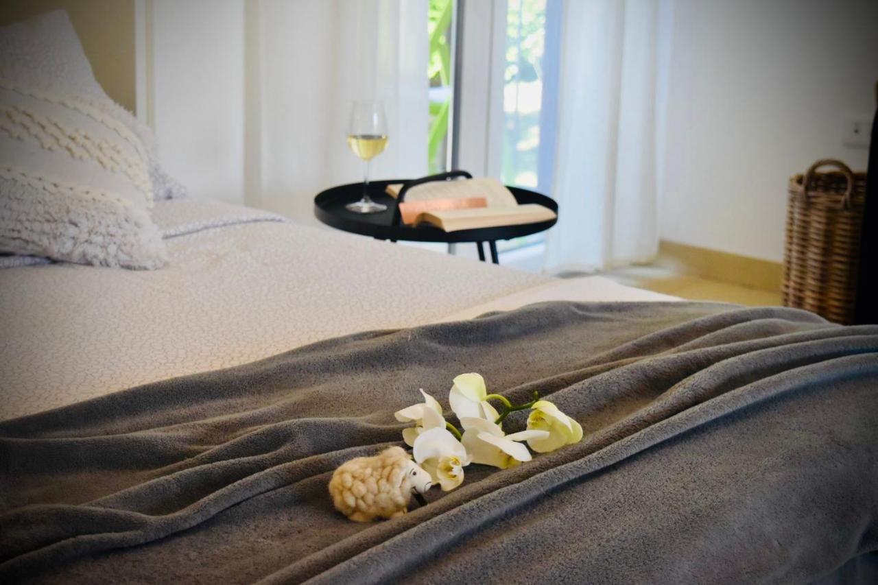 Studio Apartment Stazion With Free Parking Pazin Esterno foto
