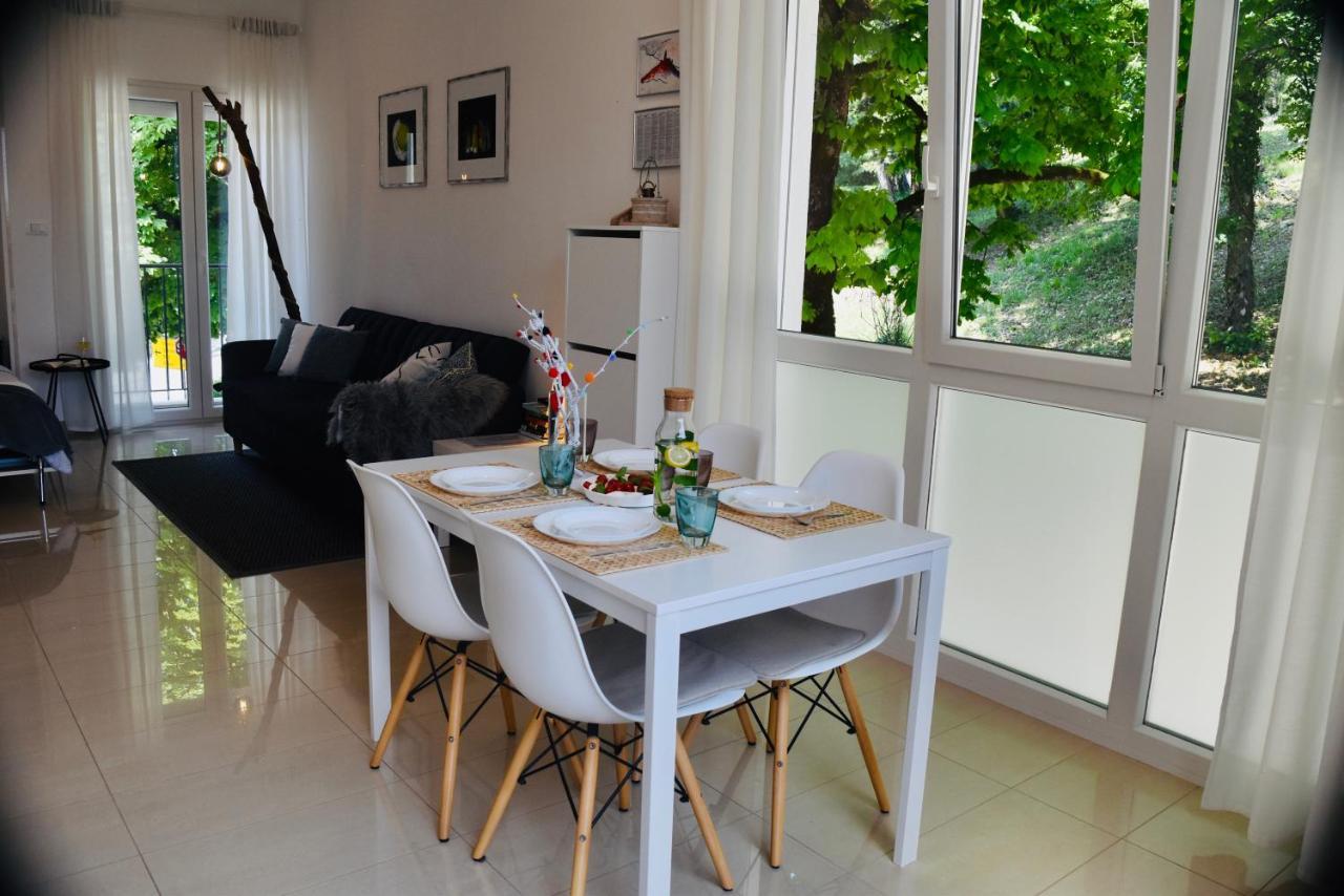 Studio Apartment Stazion With Free Parking Pazin Esterno foto